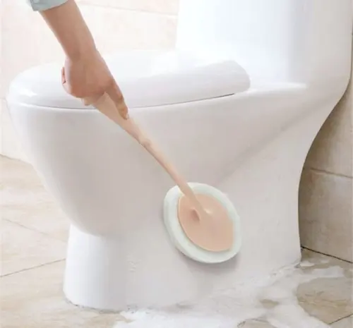 Toilet Cleaning