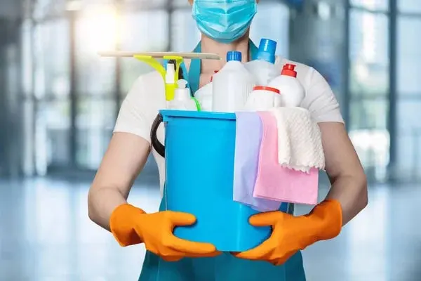 mold cleaning