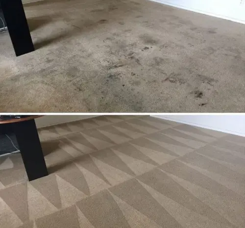 house carpet cleaning
