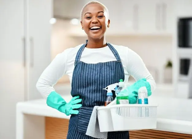ProfessionalCleaner with cleaning products