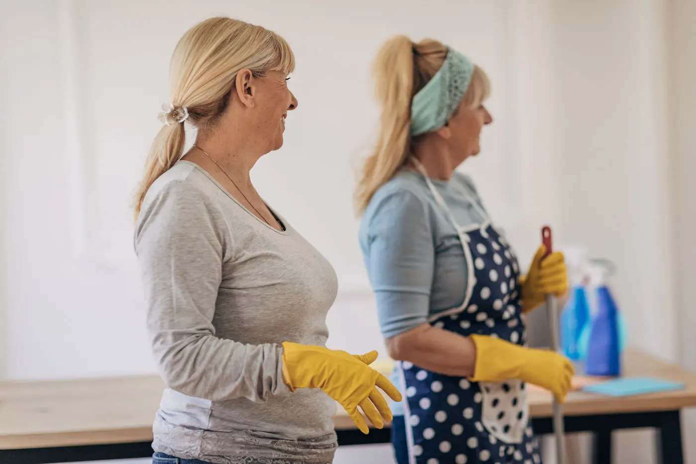 Regular Cleaning in Rochestown