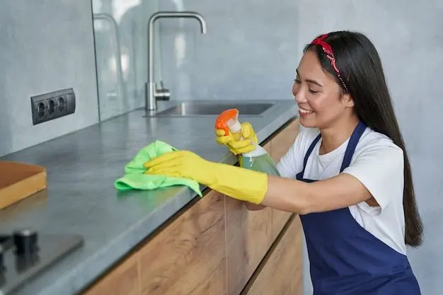 professional cleaner