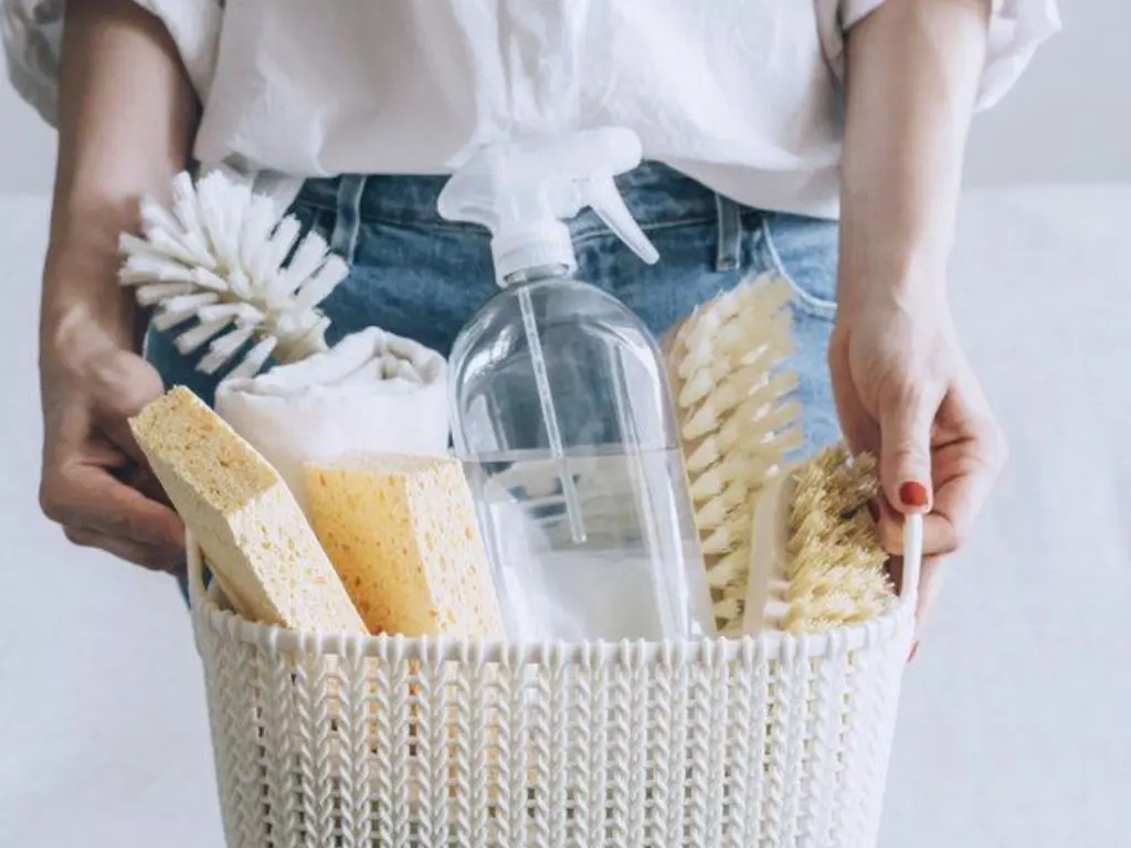 Eco-friendly Supplies used by domestic cleaners
