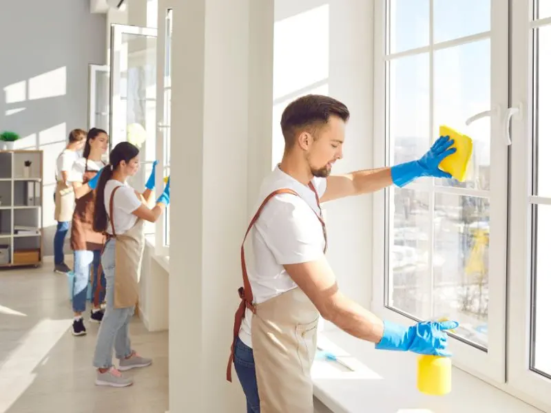 Window Cleaning: Expert Tips & DIY Solutions