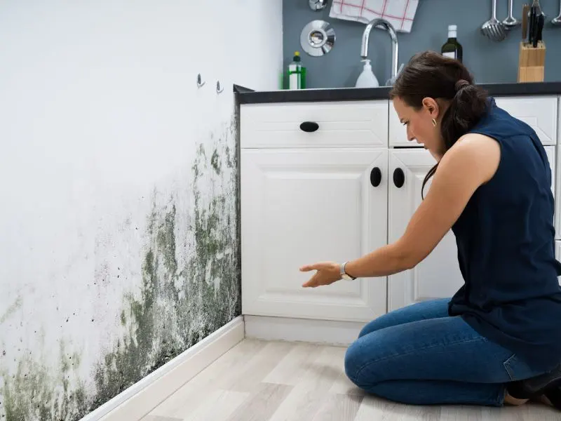 A person calling for professional cleaner after renovation