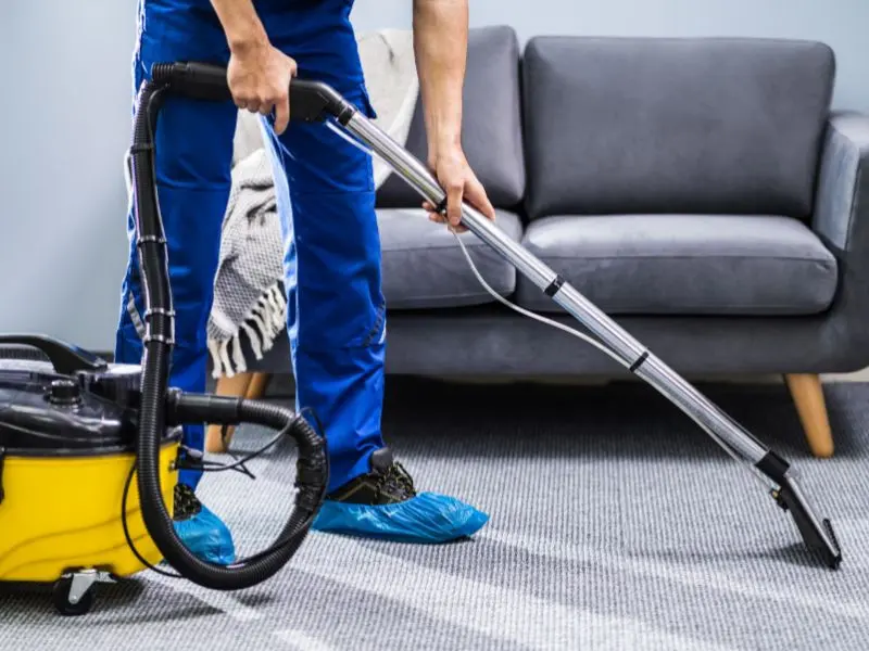 Child-safe and pet-friendly carpet cleaning products