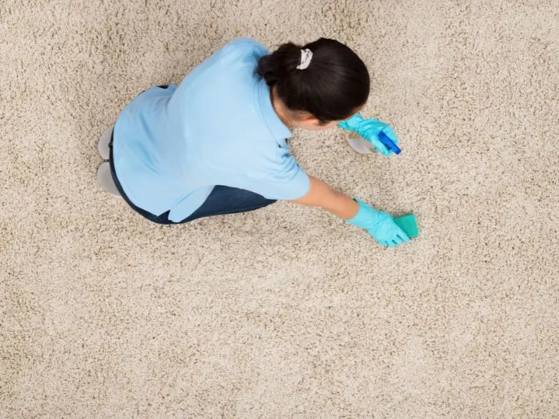 Cork-based carpet cleaners at work in retail space