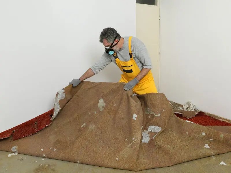 Expert Carpet Cleaning Services in Dublin and Cork: Revitalize Your Home or Business