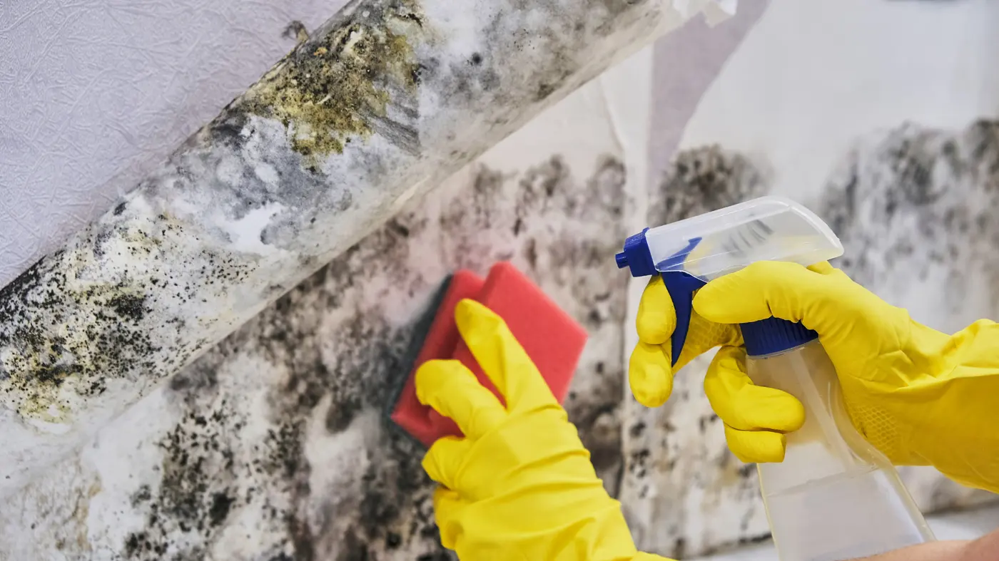 Eco-friendly cleaning supplies ready to tackle dirty office windows caused by Dublin's weather conditions