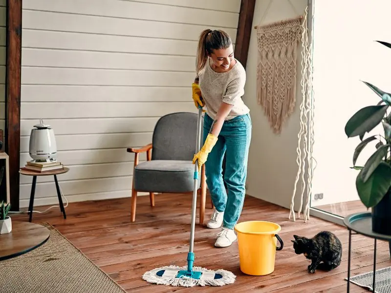 HOUSE CLEANING SERVICES IN CORK