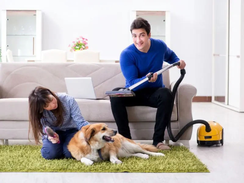 A pet owner cleaning their pet's bedding to maintain hygiene.