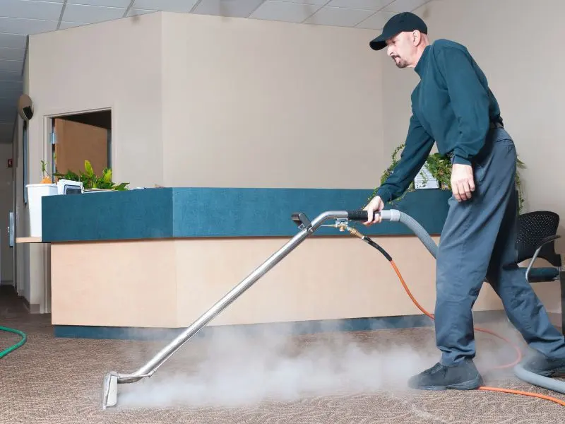Discover the Benefits of Steam Cleaning for Carpets and Upholstery