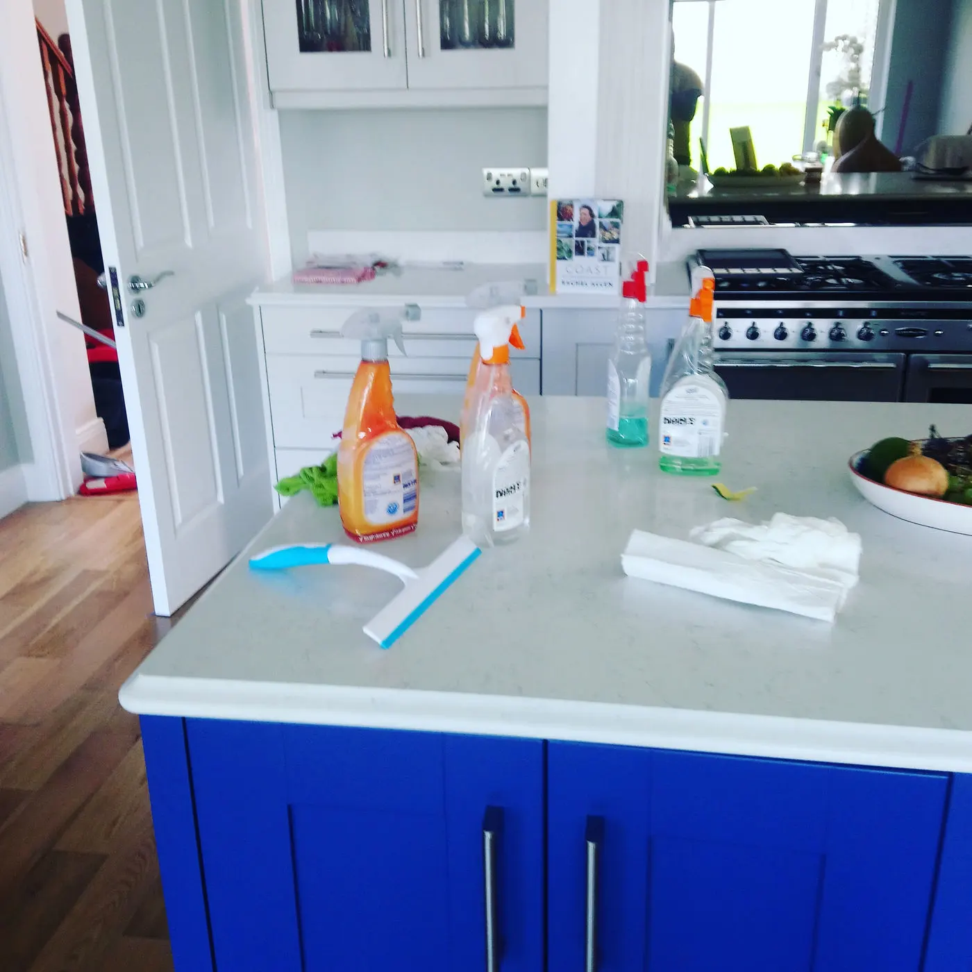 domestic cleaning