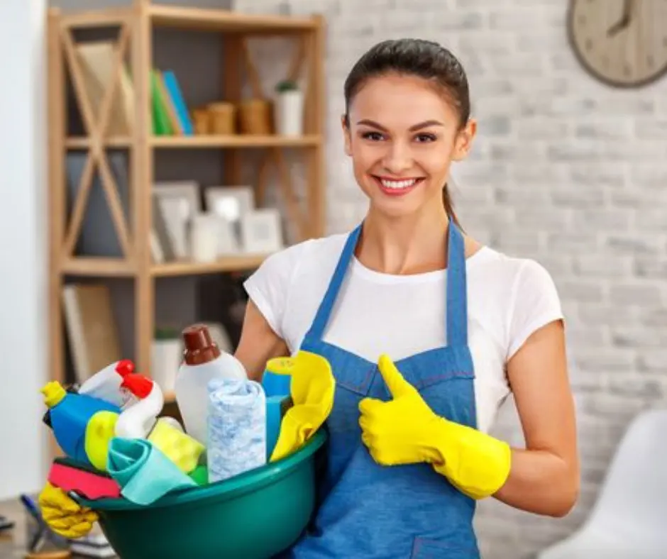 domestic cleaner