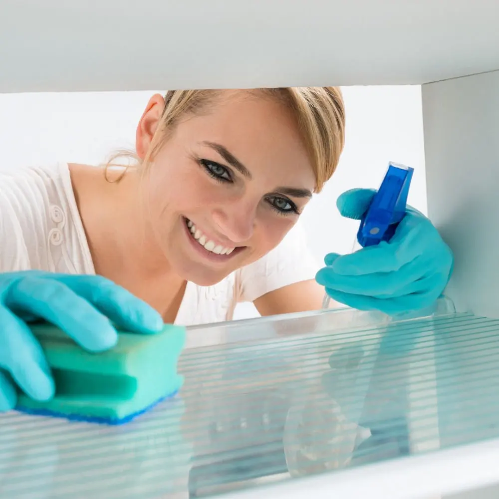 fridge cleaning