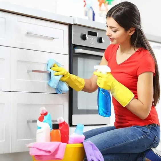 Regular House Cleaning