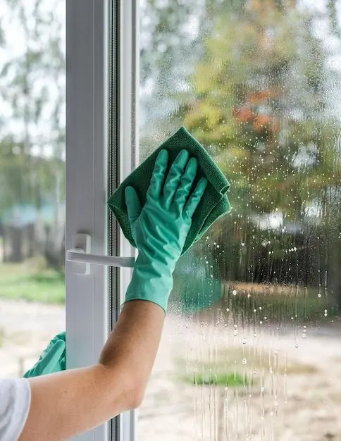 window cleaning